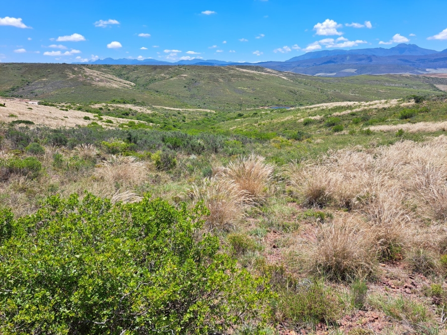 17 Bedroom Property for Sale in Riversdale Rural Western Cape